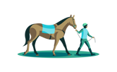 Offer Illustration Horse